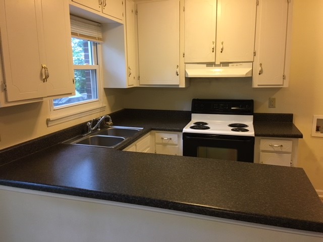 216 Lacustrian Lane, Unit 25 Central, SC 29630 - Photo 7 of 8 Bright and functional kitchen featuring ample counter space and classic cabinetry.
