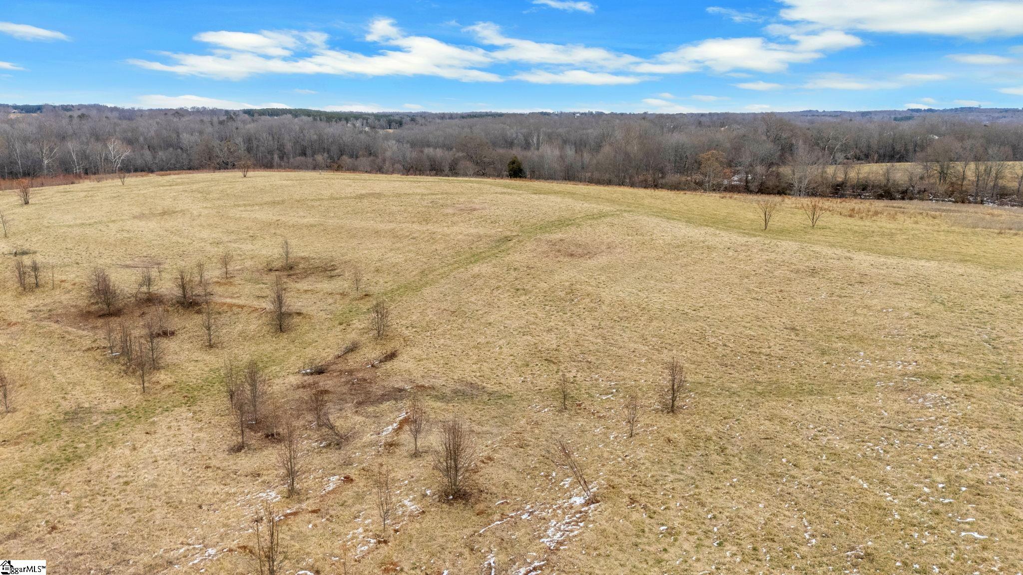 0 Cockrell Road, Unit LOT 4 Greer, SC 29651 - Photo 3 of 5