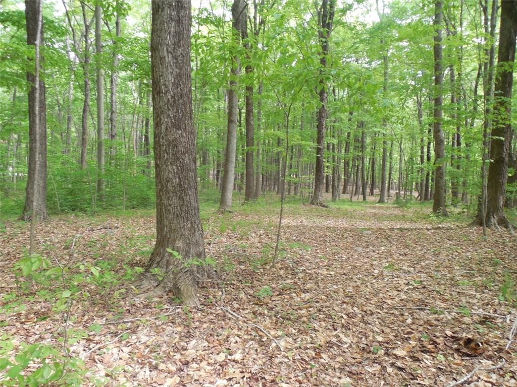 150 Salem Road Colchester, CT 06415 - Photo 1 of 1