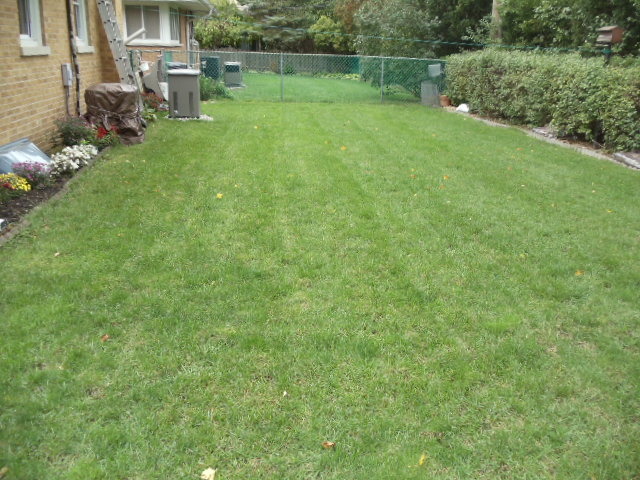 2900 Scott Lynne Dr Park Ridge Park Ridge, IL 60068 - Photo 12 of 13