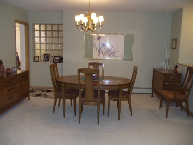 2900 Scott Lynne Dr Park Ridge Park Ridge, IL 60068 - Photo 4 of 13