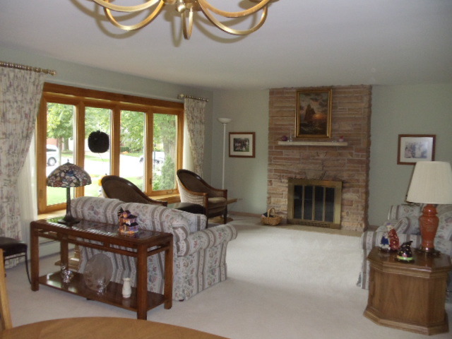 2900 Scott Lynne Dr Park Ridge Park Ridge, IL 60068 - Photo 5 of 13