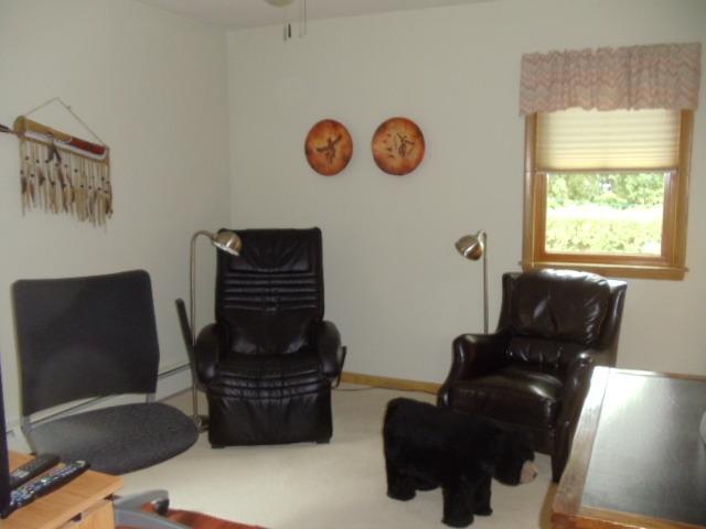 2900 Scott Lynne Dr Park Ridge Park Ridge, IL 60068 - Photo 7 of 13