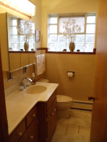 2900 Scott Lynne Dr Park Ridge Park Ridge, IL 60068 - Photo 8 of 13