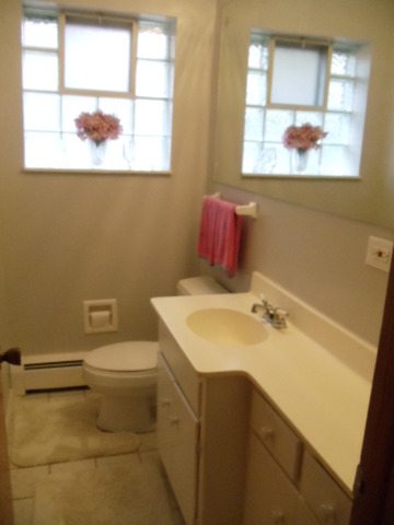 2900 Scott Lynne Dr Park Ridge Park Ridge, IL 60068 - Photo 9 of 13
