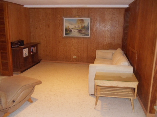 2900 Scott Lynne Dr Park Ridge Park Ridge, IL 60068 - Photo 10 of 13