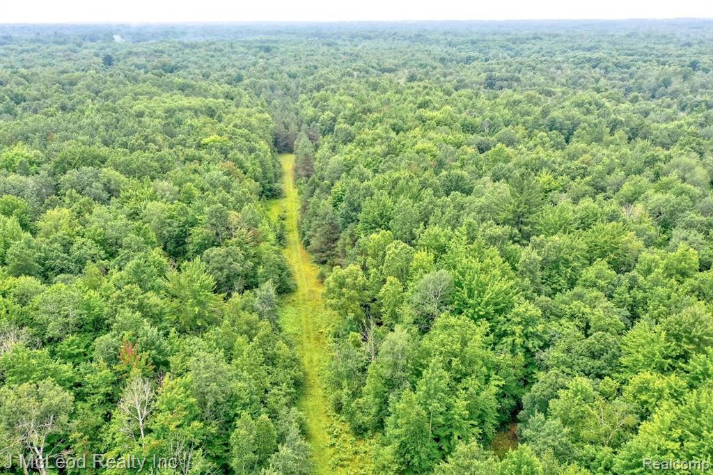4750 Sheridan Road Vassar, MI 48768 - Photo 15 of 19