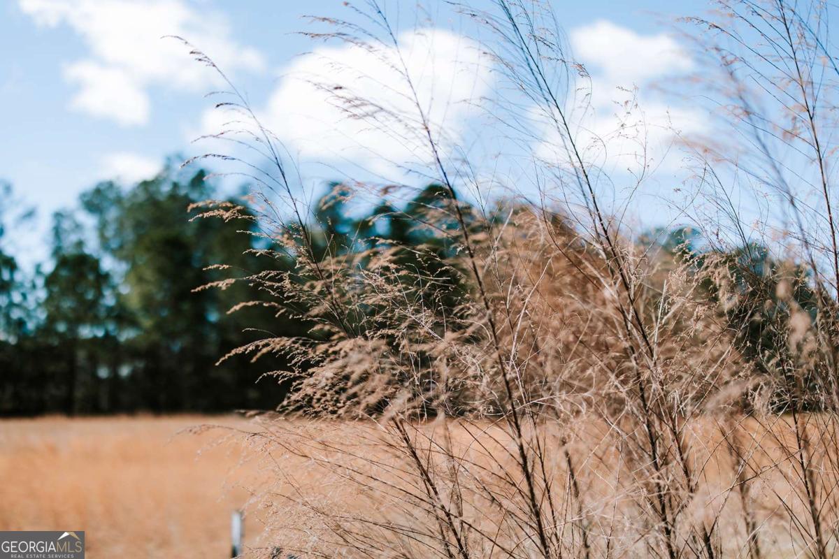 2242 Crawfordville Road Rayle, GA 30660 - Photo 56 of 64
