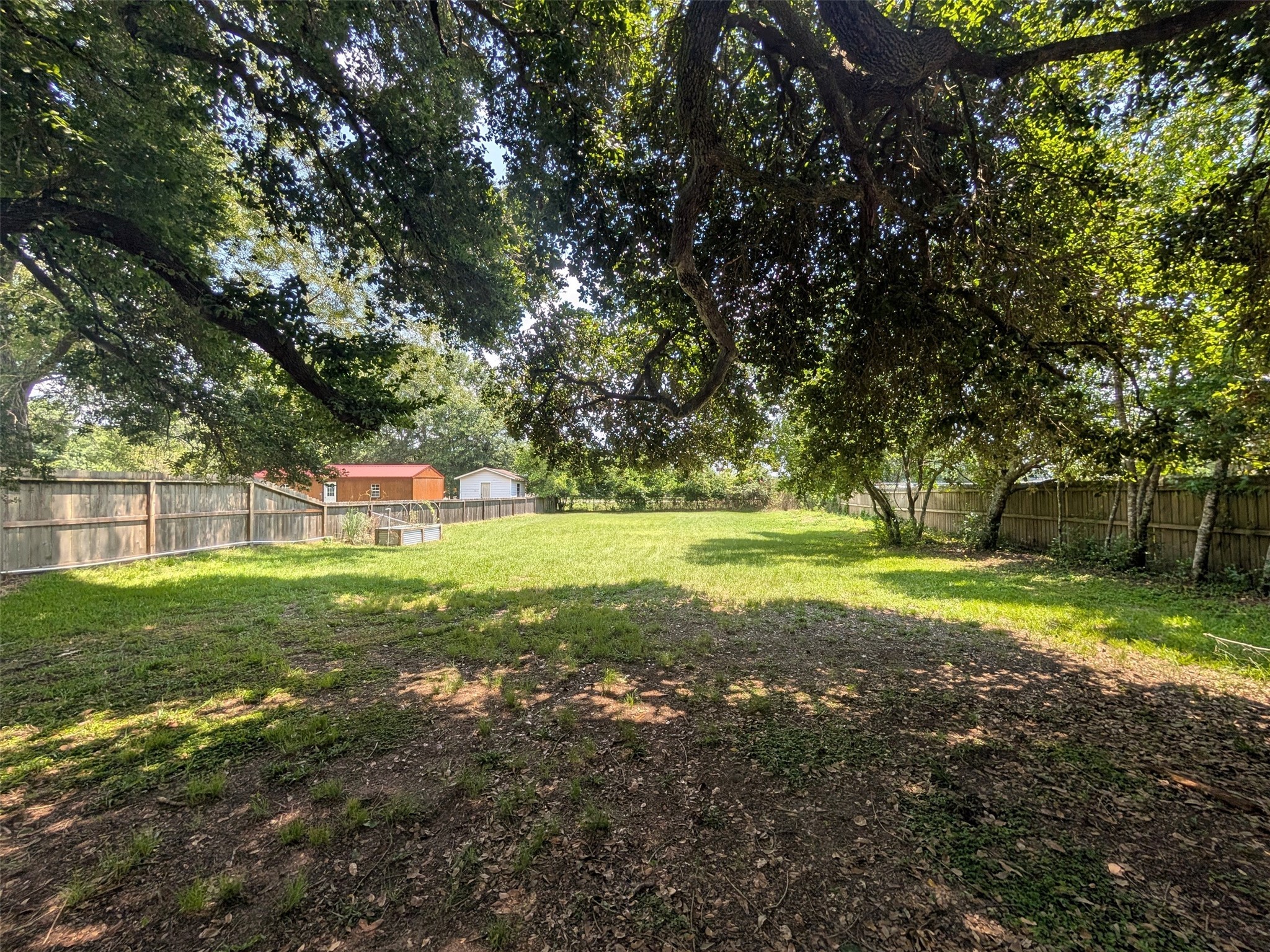 1910 Reese Street Liberty, TX 77575 - Photo 6 of 7 a view of a park with large trees