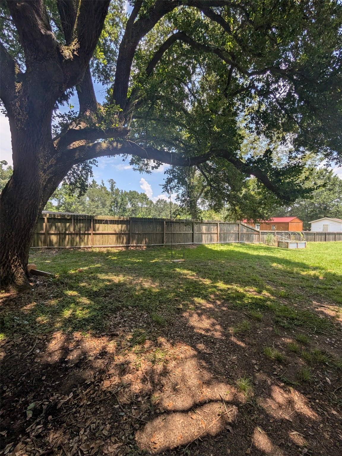 1910 Reese Street Liberty, TX 77575 - Photo 7 of 7 a view of a yard with a tree