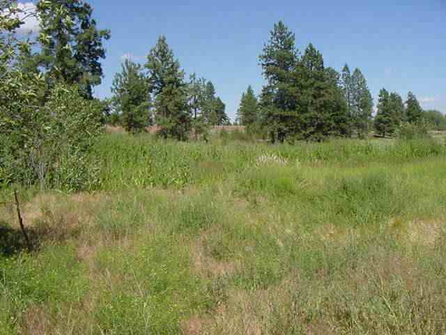 24508 South Pine Springs Road Cheney, WA 99004 - Photo 1 of 1