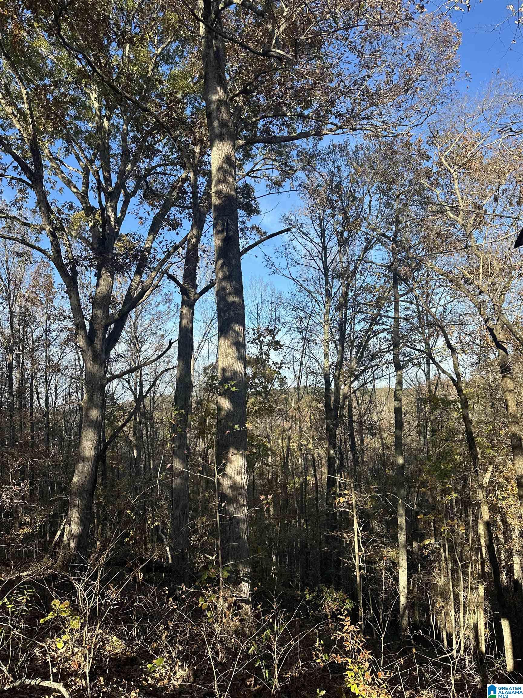 526 County Road 125 Heflin, AL 36264 - Photo 81 of 83