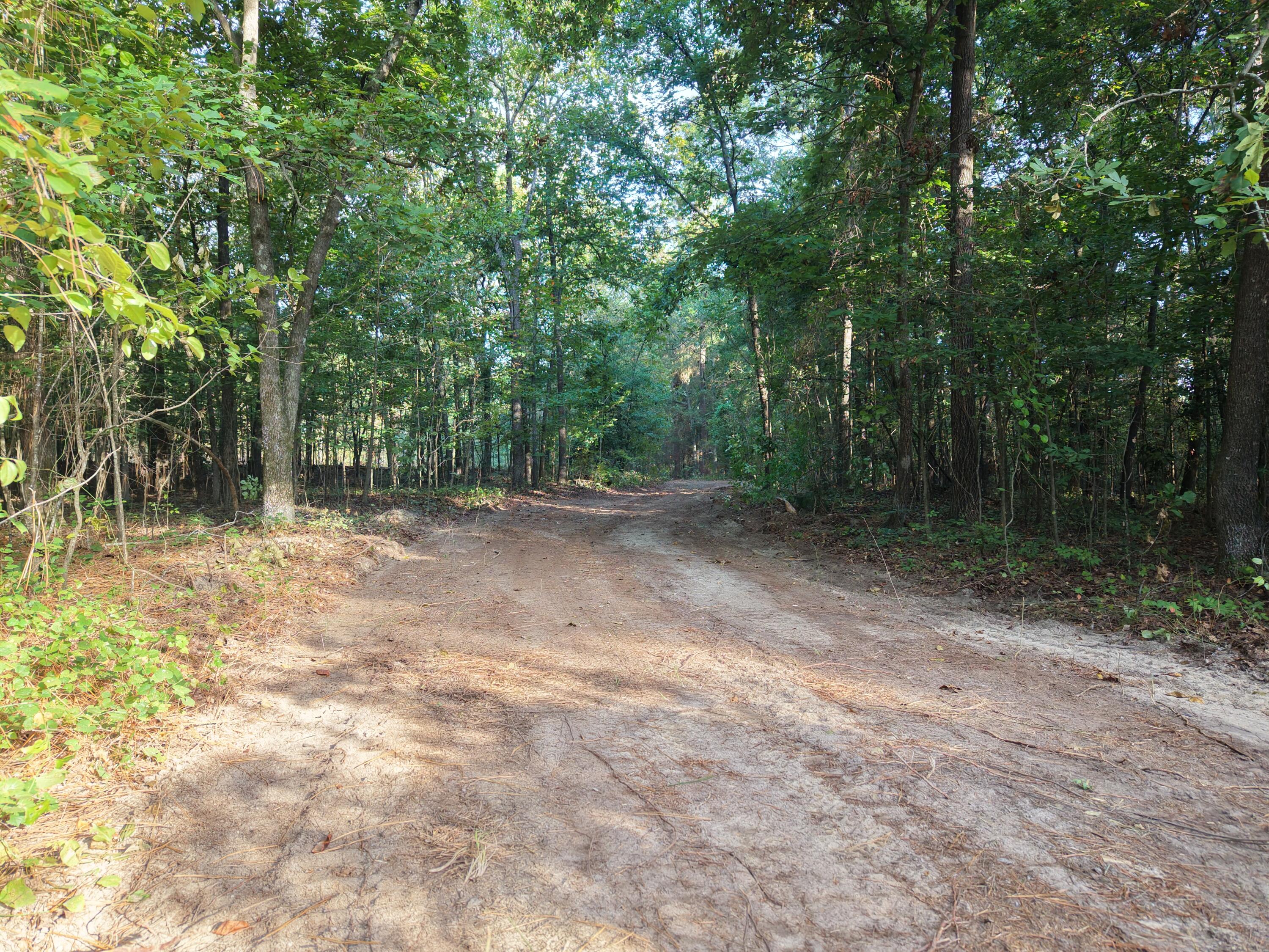 0 Comos Road Neeses, SC 29107 - Photo 6 of 9 dji_fly_20260908_090622_0030_17900078271