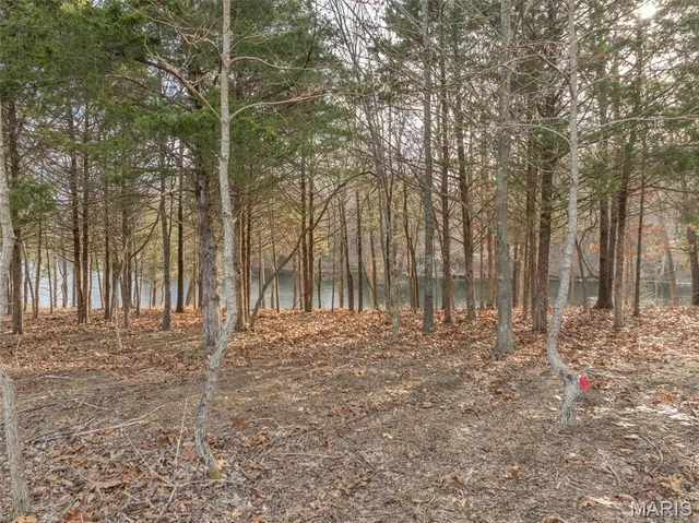 $1,199,900 | 2336 Alpine Overlook Drive, Innsbrook, MO 63390