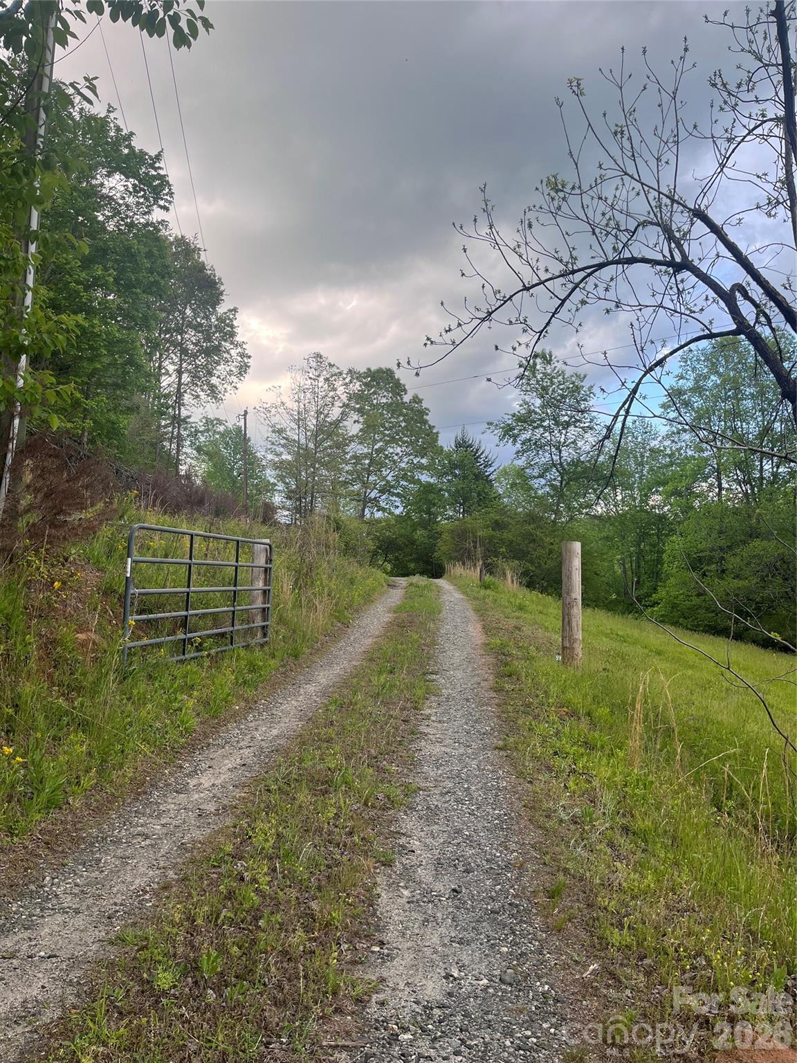 1239 Mcguinn Road Mill Spring, NC 28756 - Photo 10 of 33