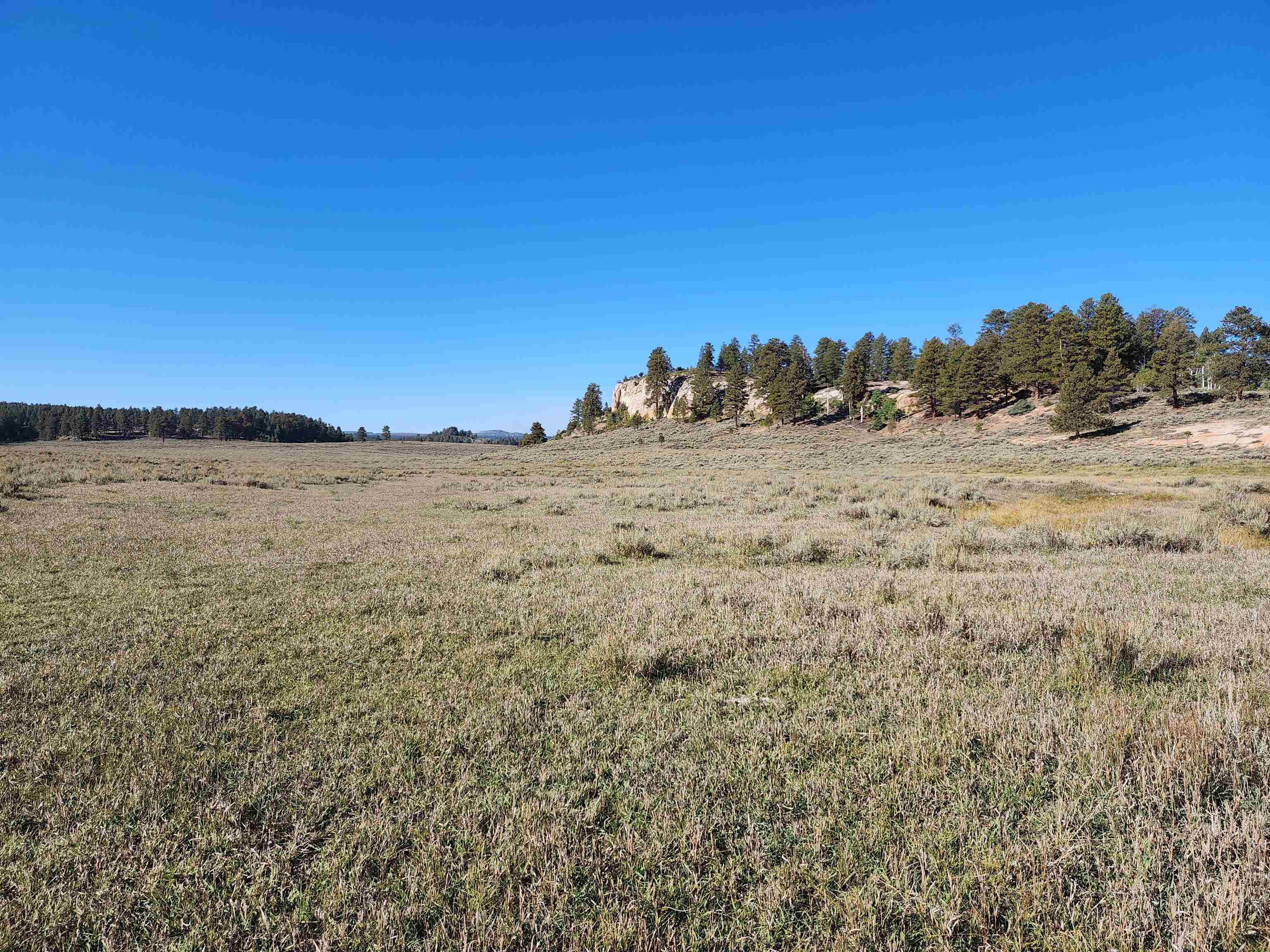 Tbd Divide Road, Unit LOUIE PASTURE Whitewater, CO 81527 - Photo 4 of 8 a view of ocean view with beach