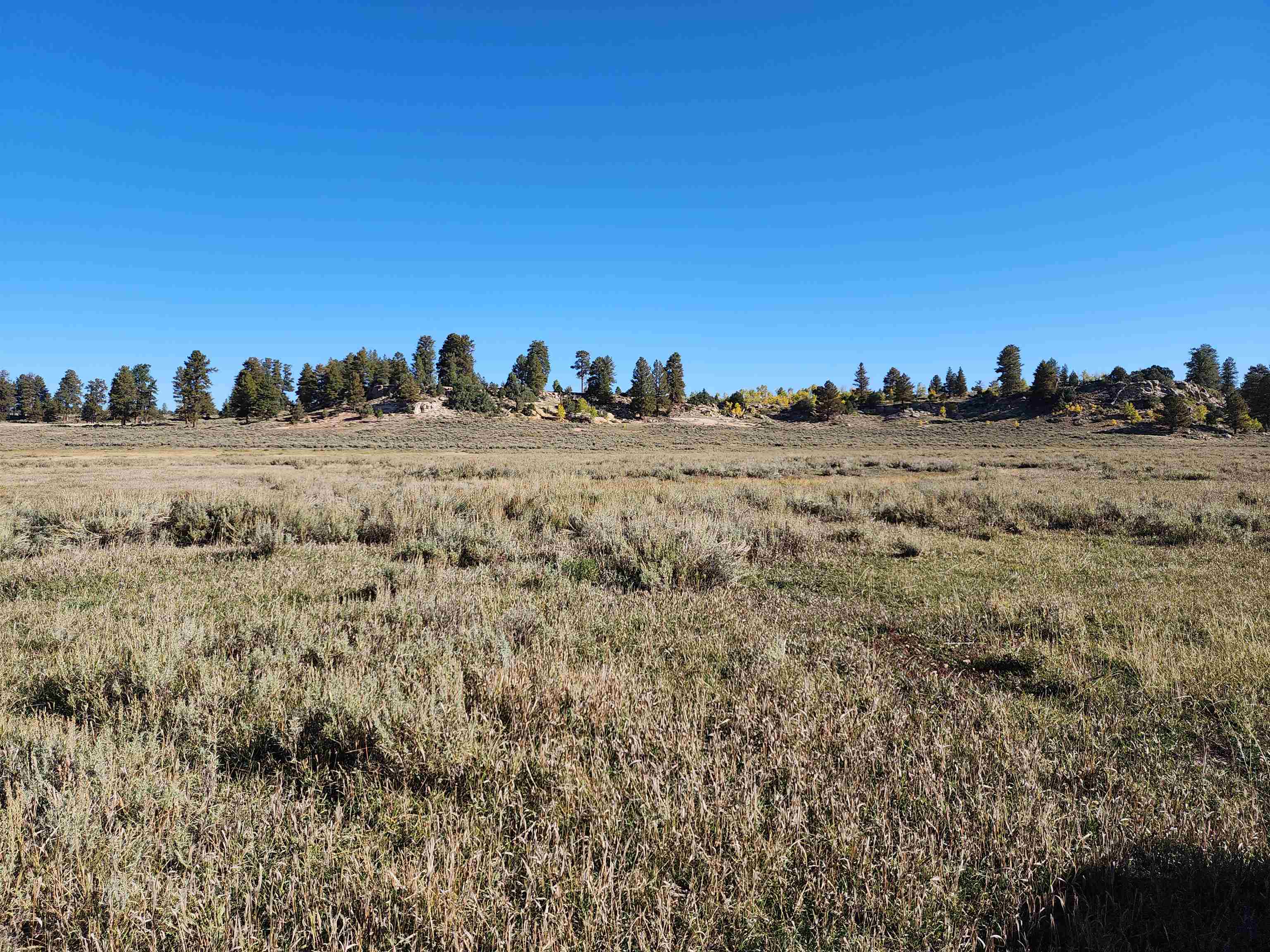Tbd Divide Road, Unit LOUIE PASTURE Whitewater, CO 81527 - Photo 6 of 8 a view of an outdoor space and a lake view