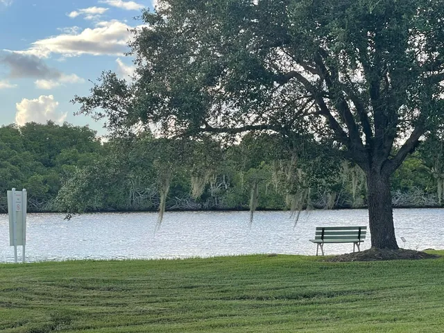 a view of a park with large trees