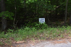105 Treasure Tree Road Ten Mile, TN 37880 - Photo 1 of 1 Gallery Image 1