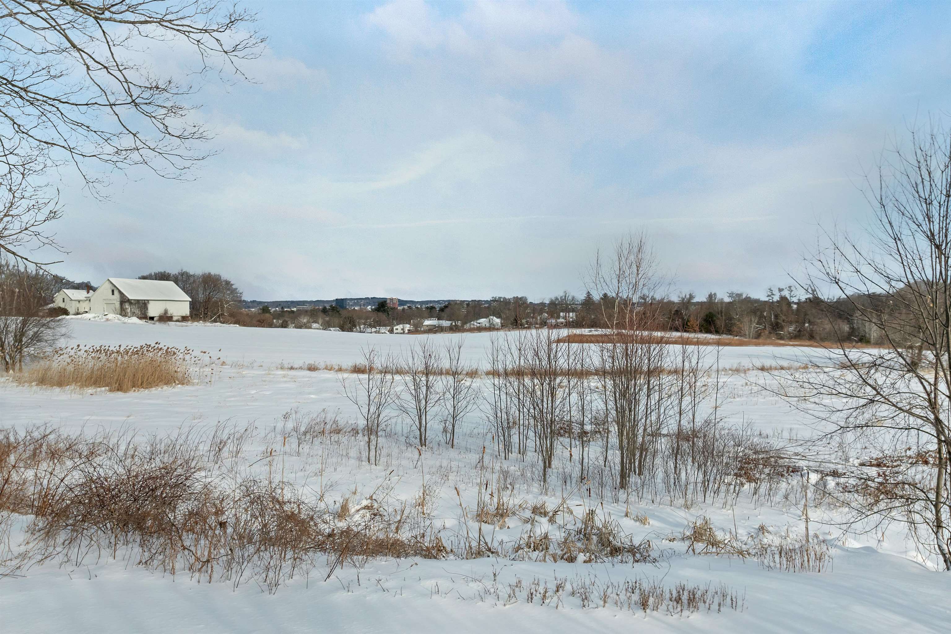 22 Constance Street Bedford, NH 03110 - Photo 22 of 43