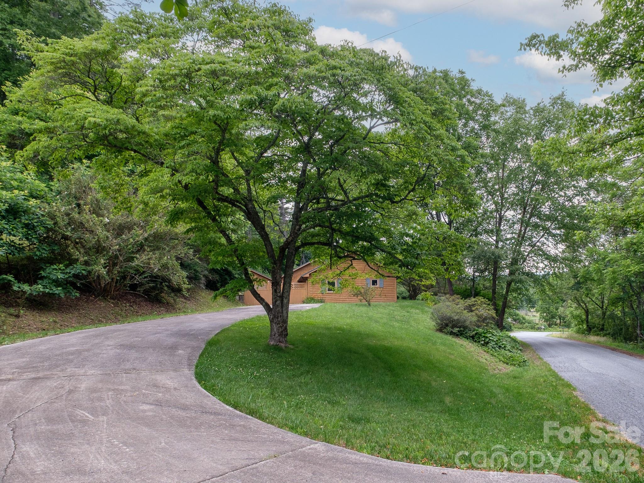 332 Island Cove Road Penrose, NC 28766 - Photo 6 of 28