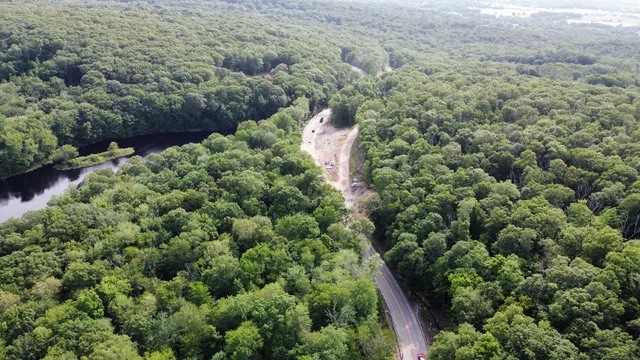 a view of a lush green forest