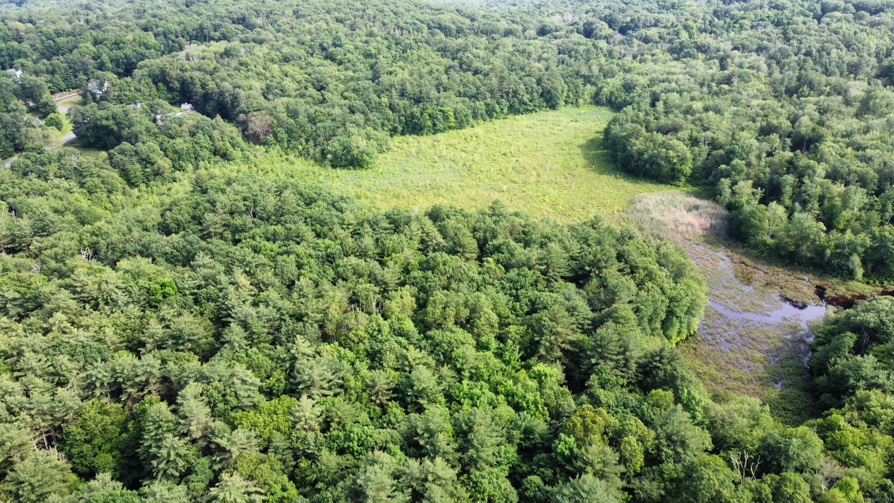 178 Crystal Lake Road Ellington, CT 06029 - Photo 13 of 27 a view of a forest with a tree