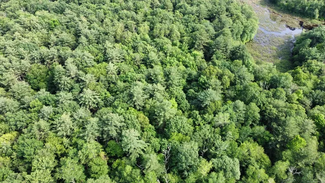 an aerial view of a house with a yard and outdoor seating