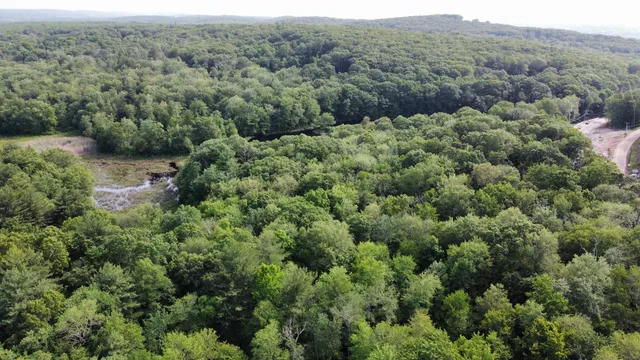 an aerial view of a forest with houses