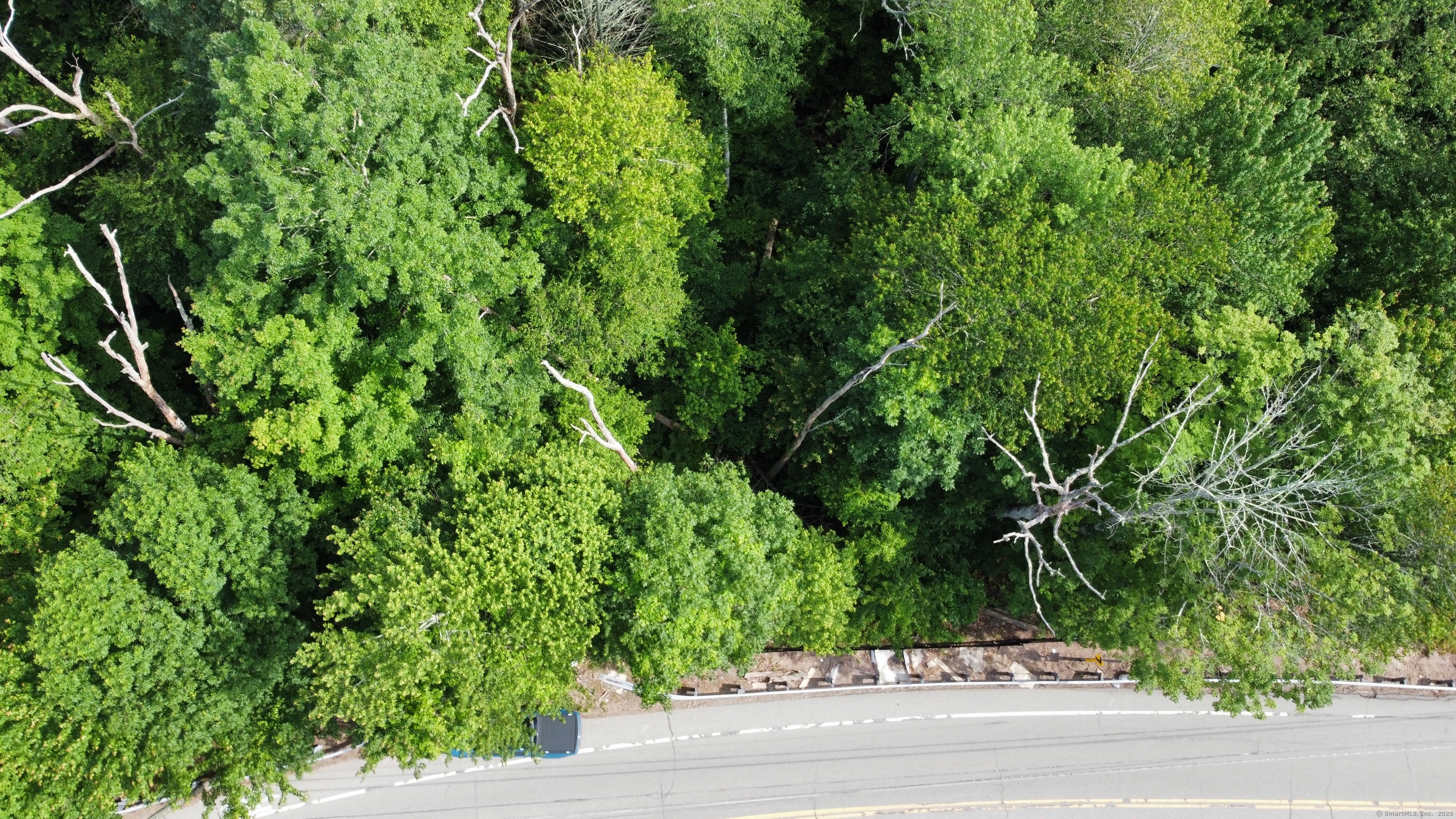 178 Crystal Lake Road Ellington, CT 06029 - Photo 2 of 27 a view of a yard and a plants