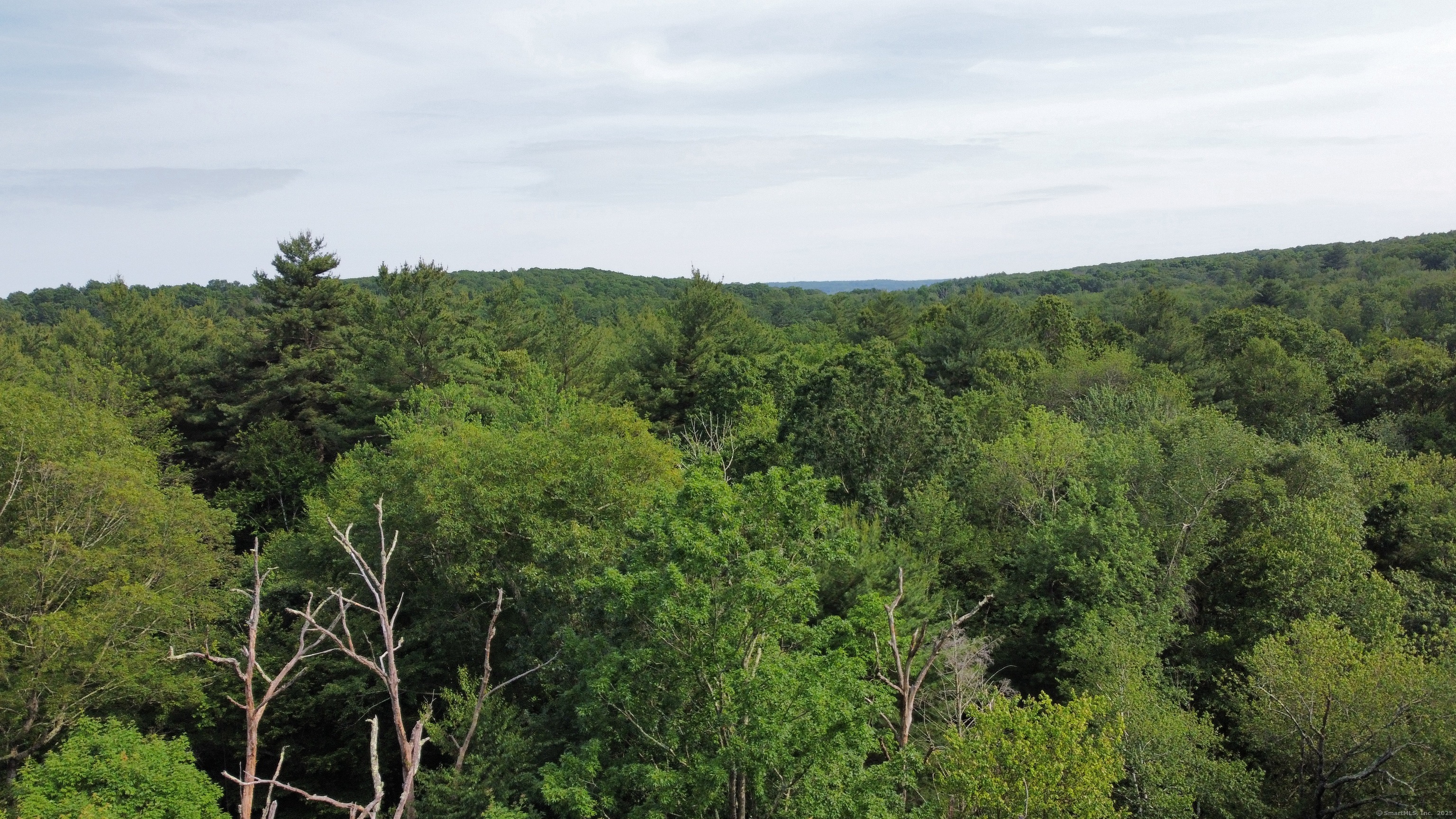 178 Crystal Lake Road Ellington, CT 06029 - Photo 22 of 27 an aerial view of a forest with houses