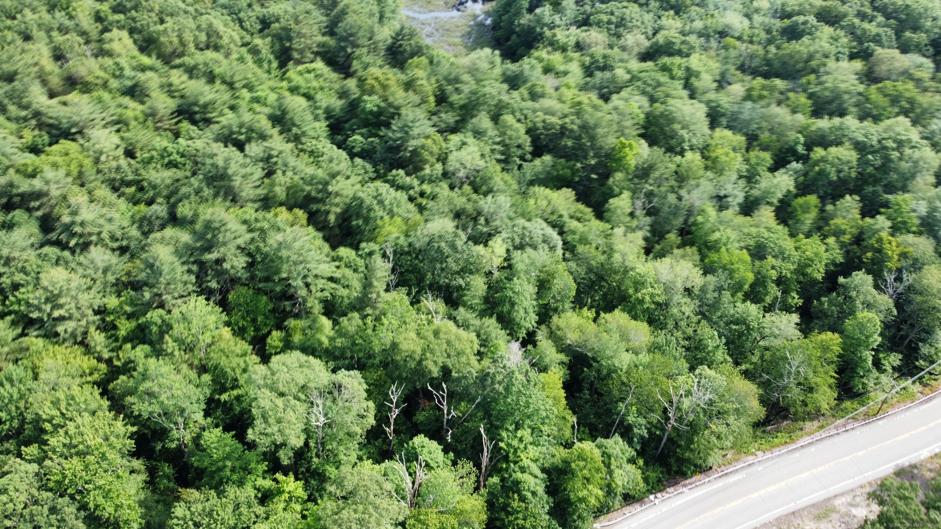 178 Crystal Lake Road Ellington, CT 06029 - Photo 3 of 27 view of a lots of trees and bushes