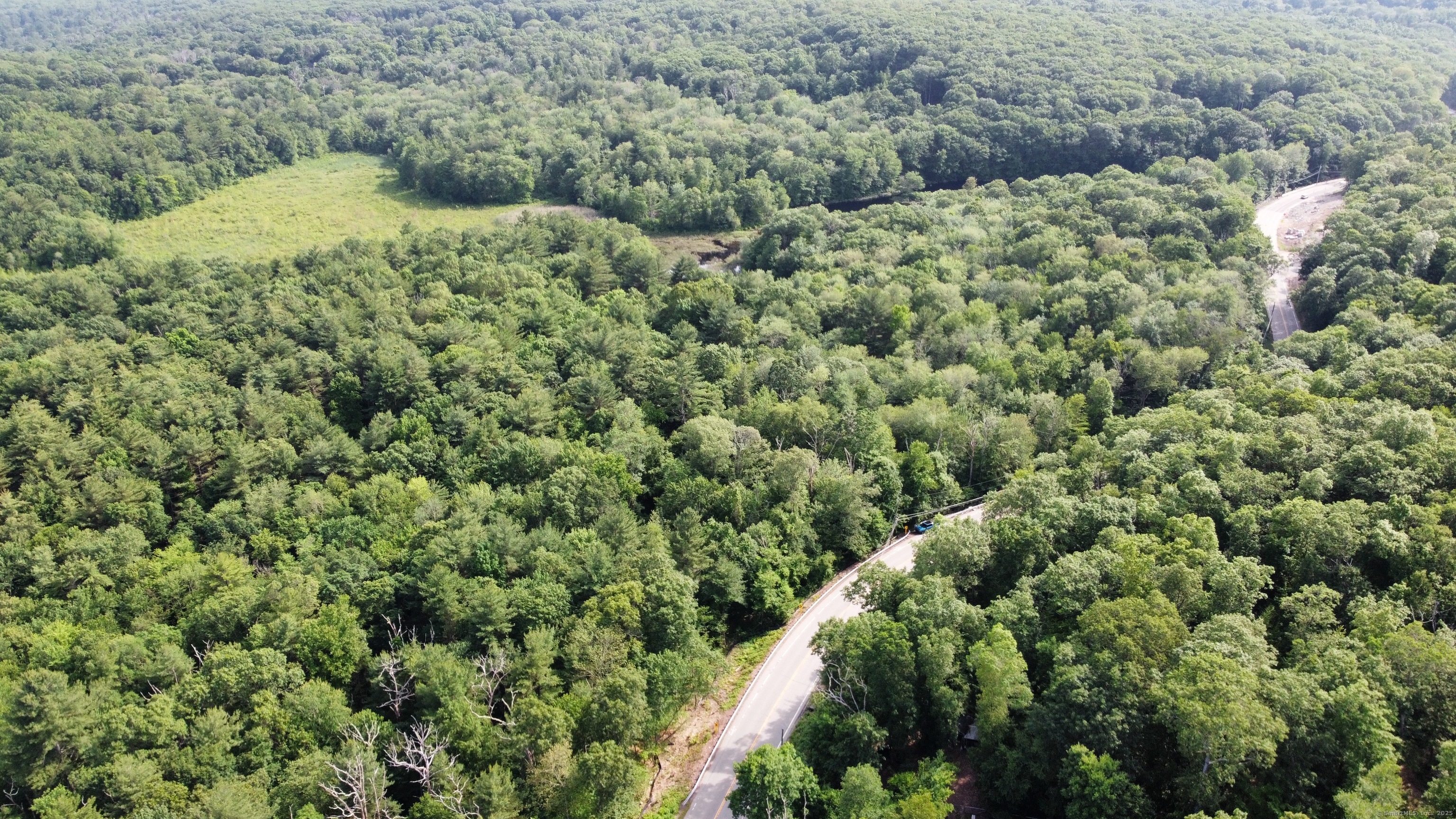 178 Crystal Lake Road Ellington, CT 06029 - Photo 4 of 27 a view of a forest with a tree