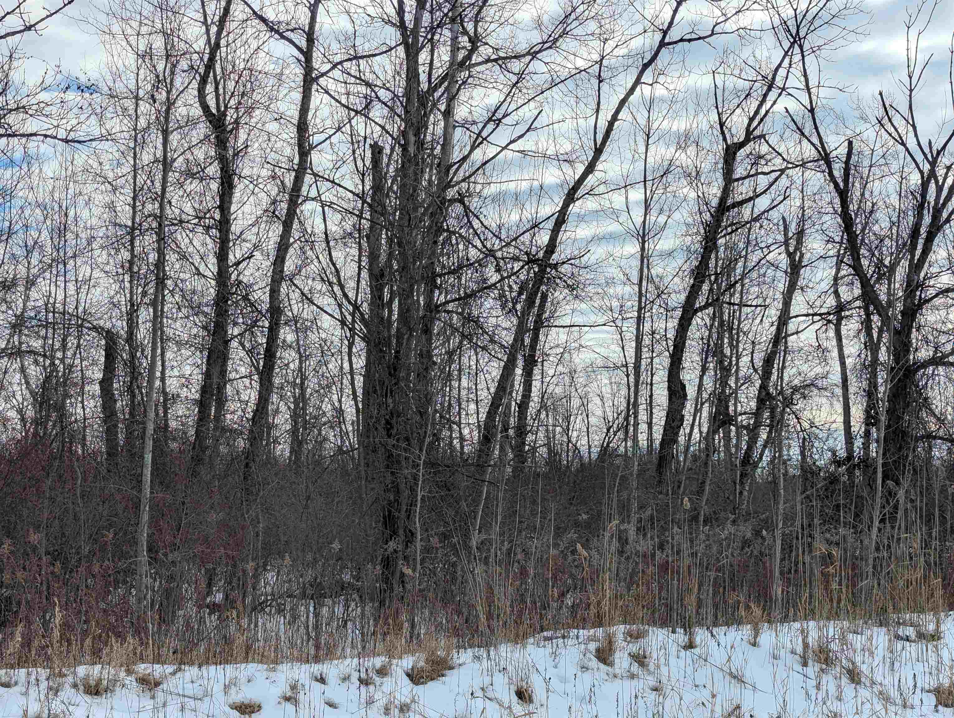 N/a Swenson Road Au Gres, MI 48703 - Photo 4 of 15