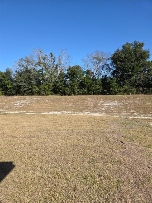 1761 Southwest 244th Way Newberry, FL 32669 - Photo 14 of 21 a view of an ocean and beach