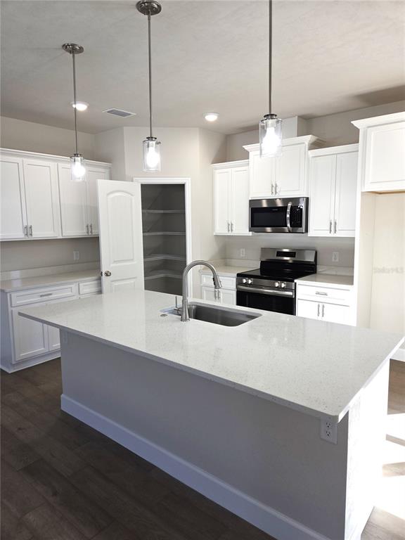 1761 Southwest 244th Way Newberry, FL 32669 - Photo 4 of 21 a large kitchen with kitchen island a sink stainless steel appliances and cabinets