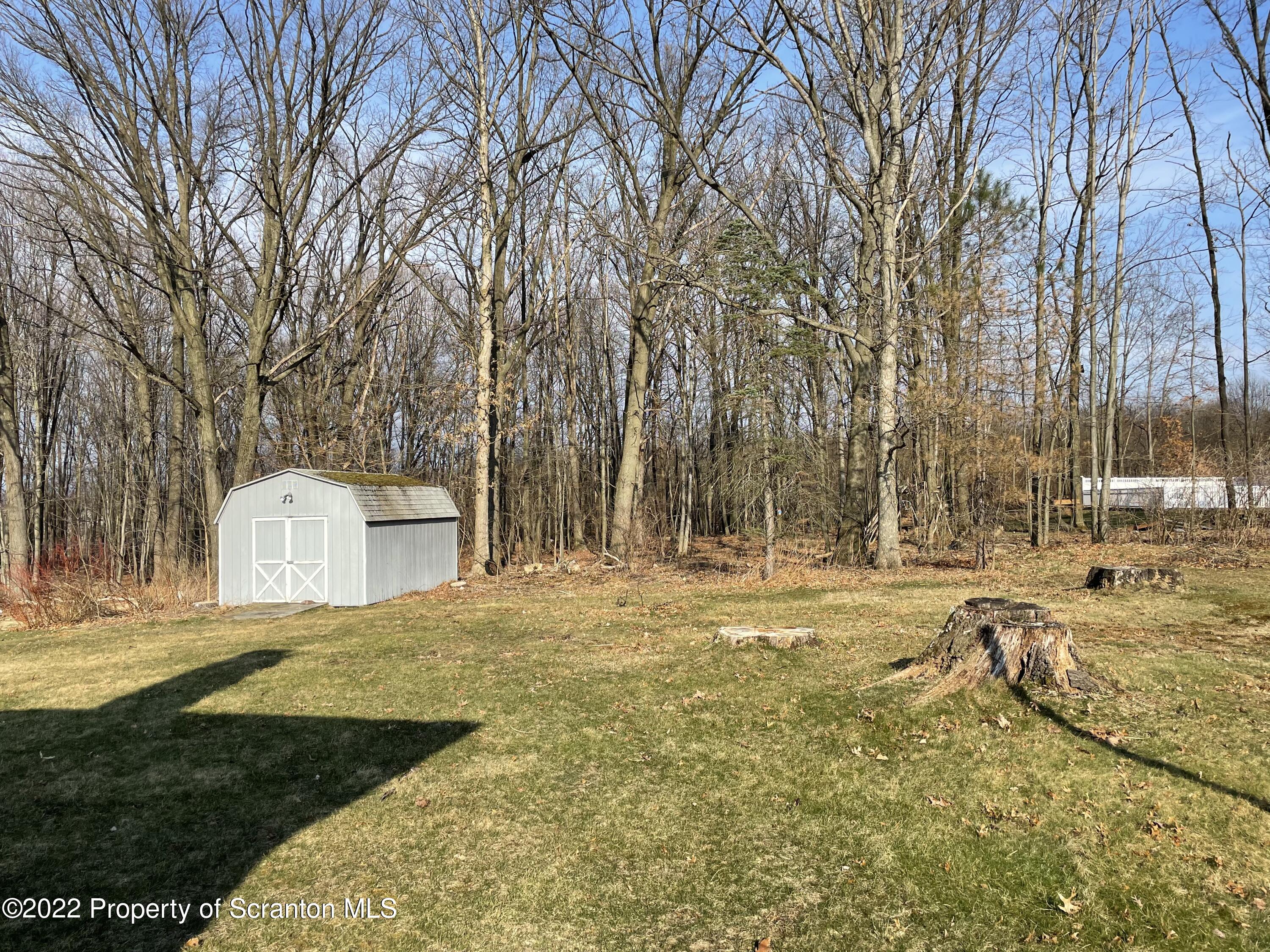 919 Hollenback Street Moosic, PA 18507 - Photo 3 of 16 Yard