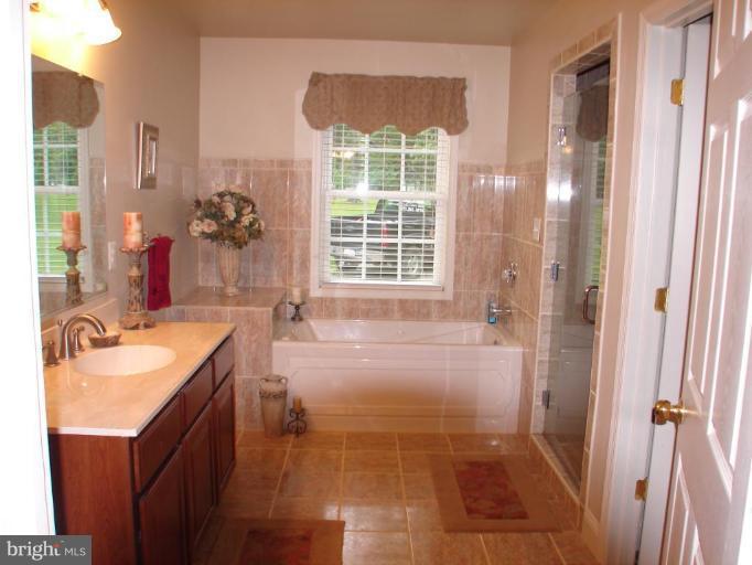 12116 Fawn Ridge Road Linden, VA 22642 - Photo 11 of 16 Master Bath