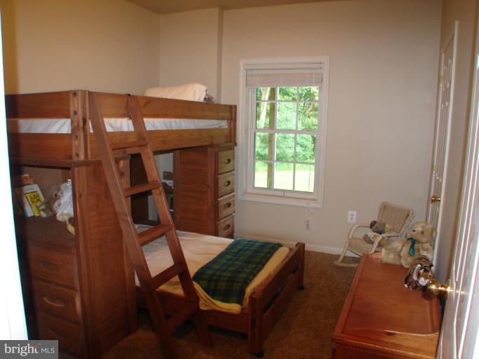 12116 Fawn Ridge Road Linden, VA 22642 - Photo 15 of 16 Bedroom #3