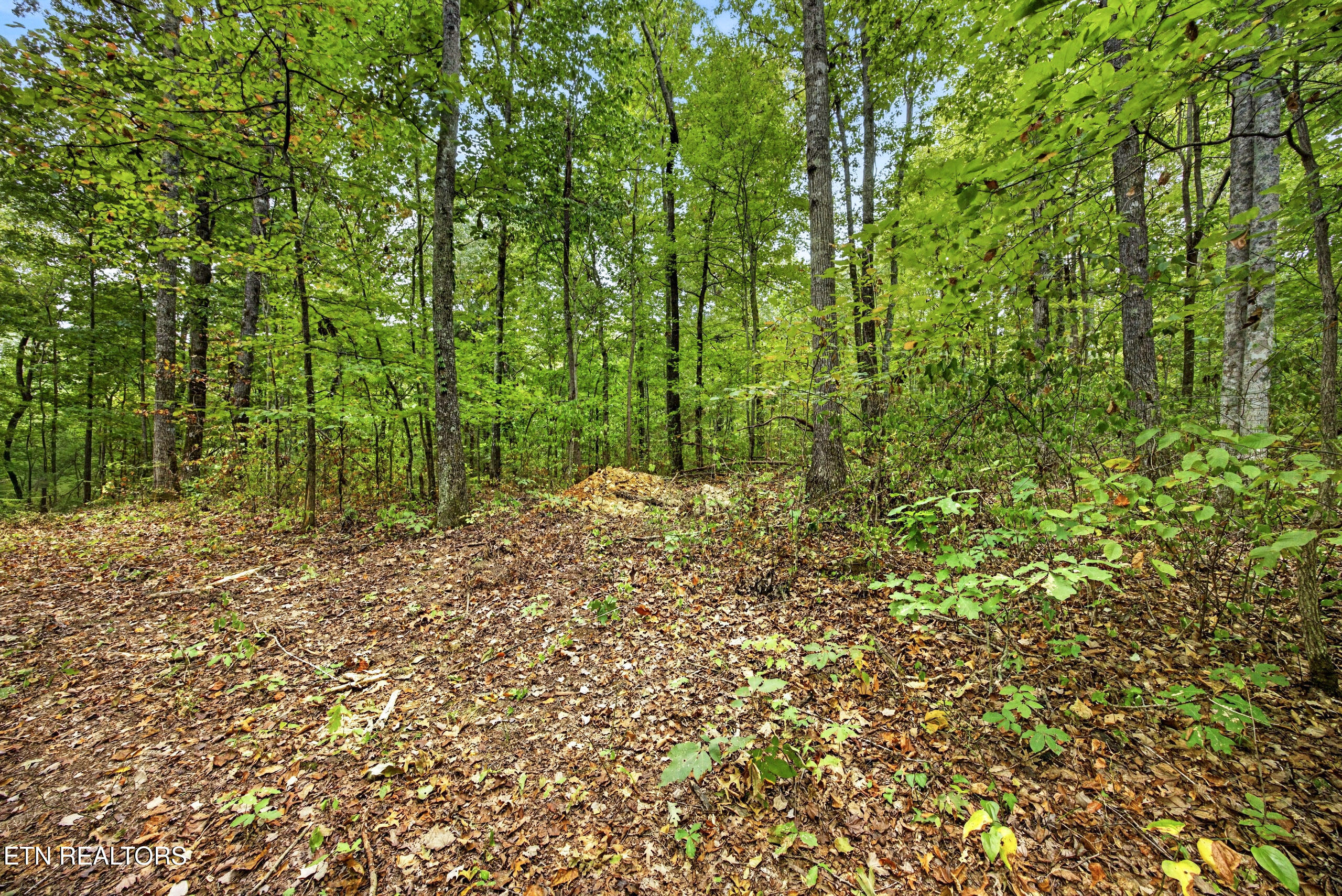 Lot 22 Timber Ridge Lane Celina, TN 38551 - Photo 1 of 12 1-8N5A6459