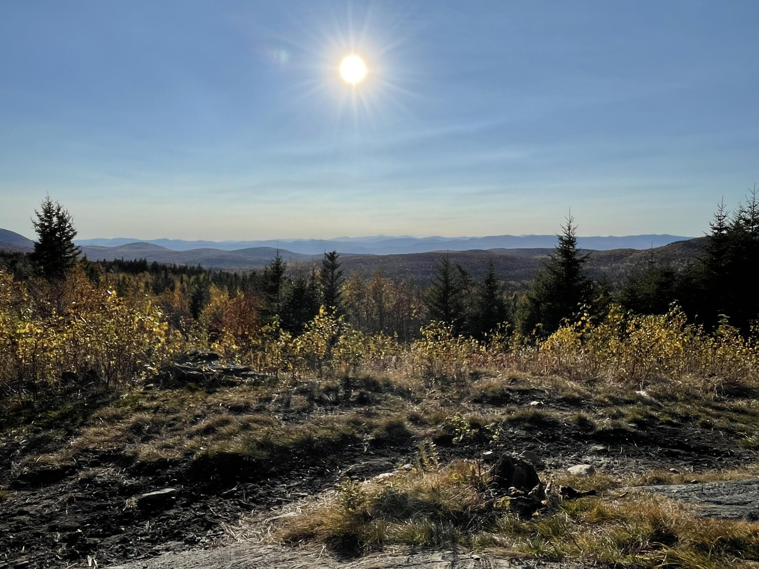 257 Mountain View Road Temple, ME 04984 - Photo 19 of 43 IMG_0388