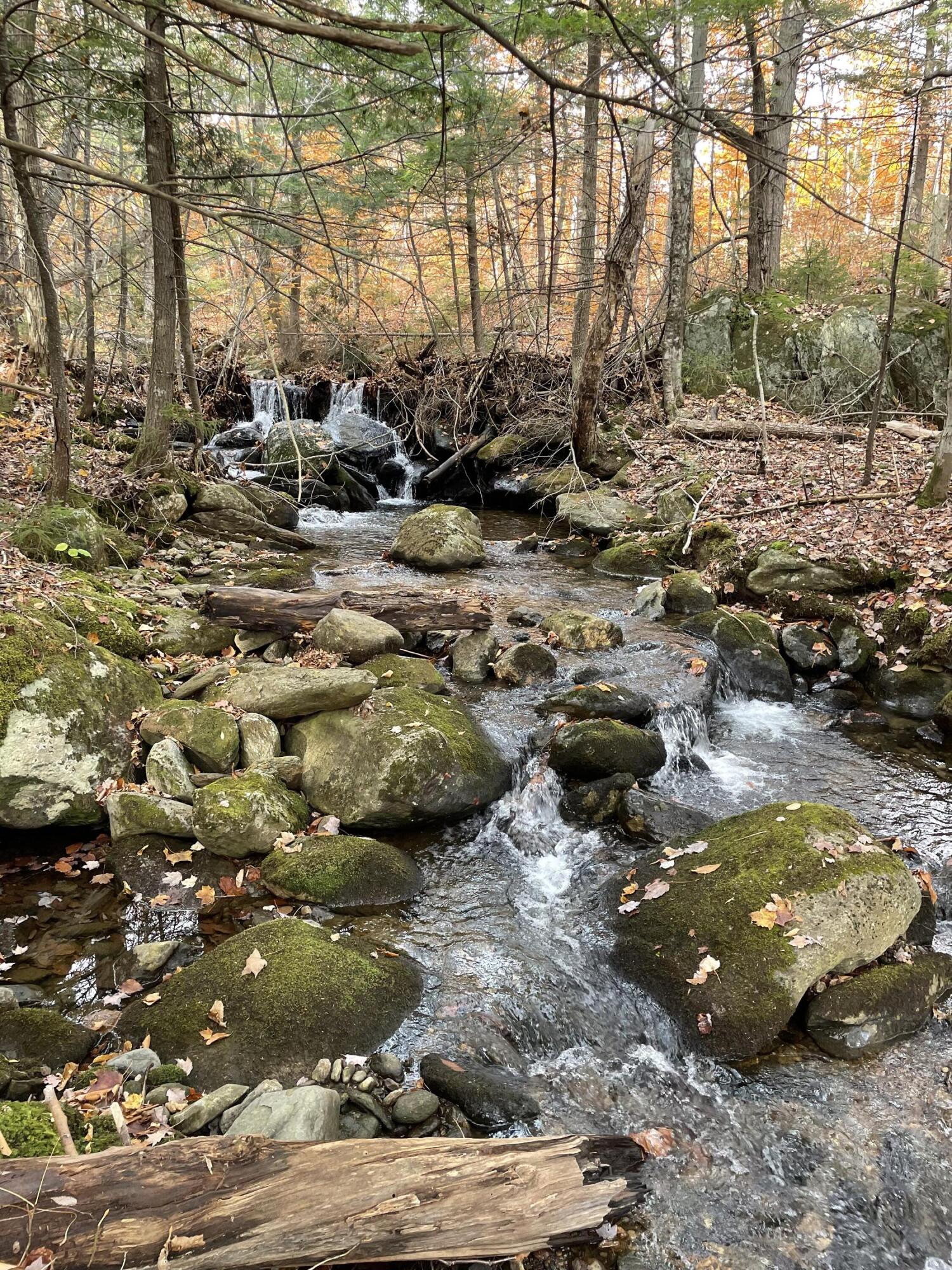 257 Mountain View Road Temple, ME 04984 - Photo 40 of 43 IMG_4290