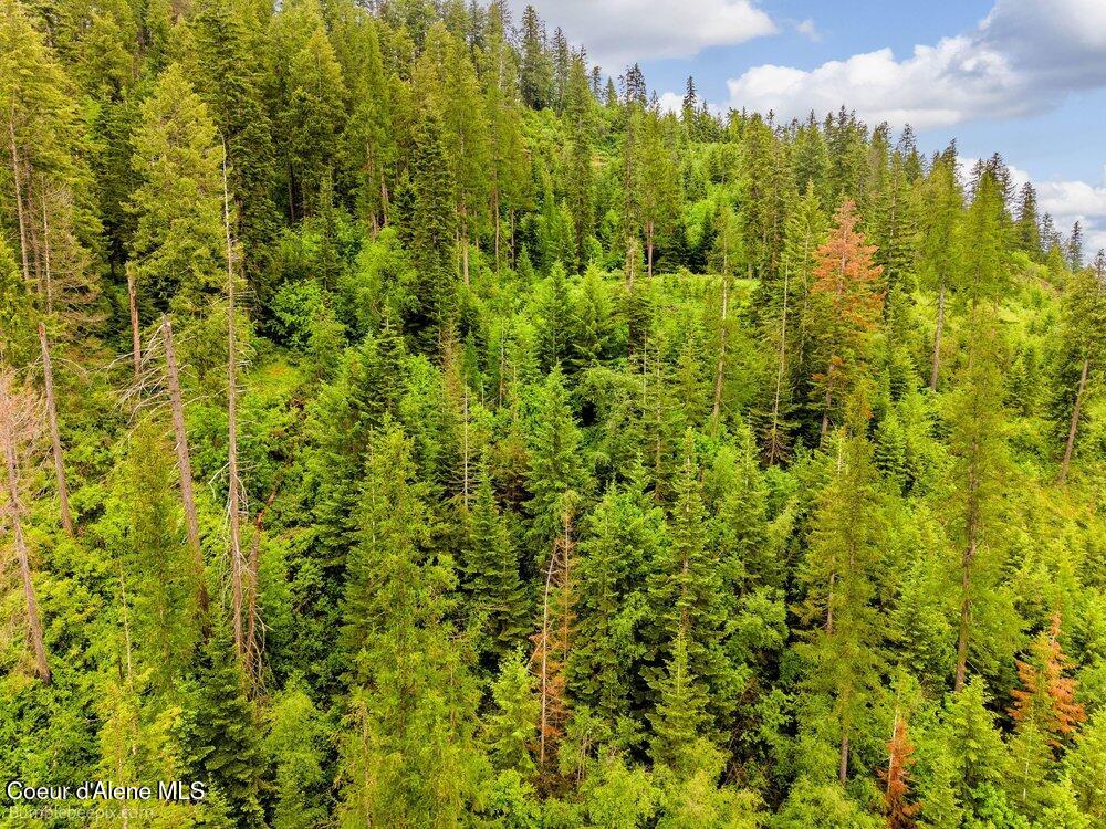 Nna South Powderhorn Bay Road Harrison, ID 83833 - Photo 21 of 30 022_bb193643-22_566