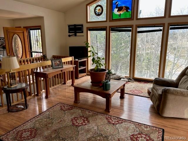 641 County Road 72 Bailey, CO 80421 - Photo 2 of 10 a living room with furniture and a large window