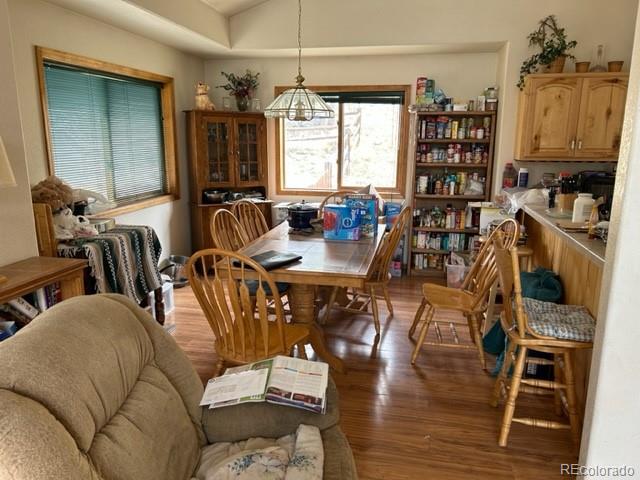 641 County Road 72 Bailey, CO 80421 - Photo 6 of 10 a view of a dining room with furniture window and outside view