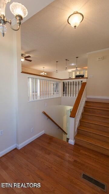 275 Hawthorn Loop Crossville, TN 38555 - Photo 13 of 59 a view of entryway and hall with wooden floor