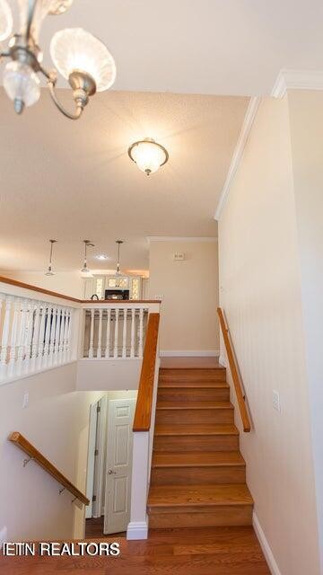 275 Hawthorn Loop Crossville, TN 38555 - Photo 15 of 59 a view of entryway and hall with wooden floor