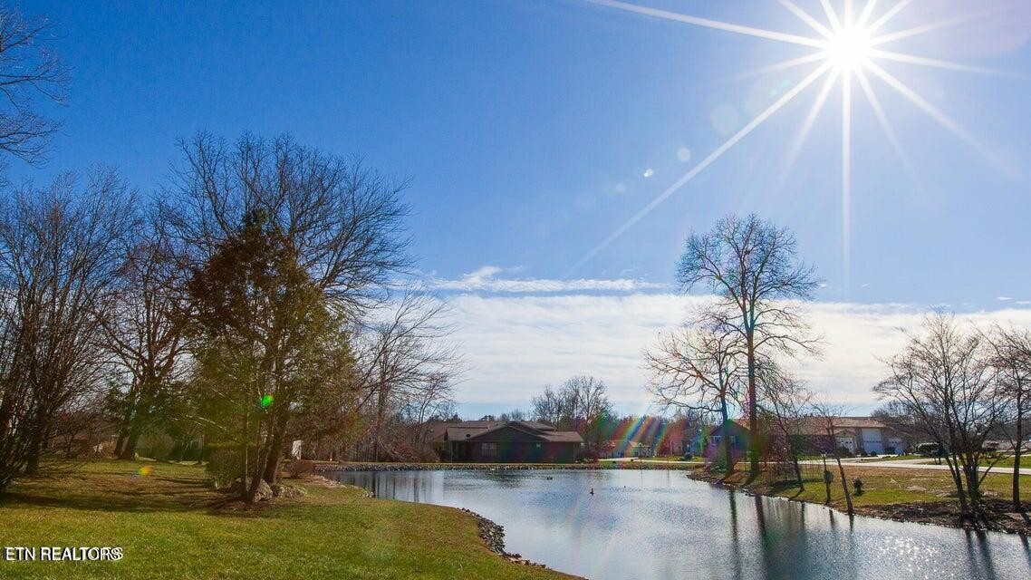 275 Hawthorn Loop Crossville, TN 38555 - Photo 7 of 59 a view of a lake with a yard