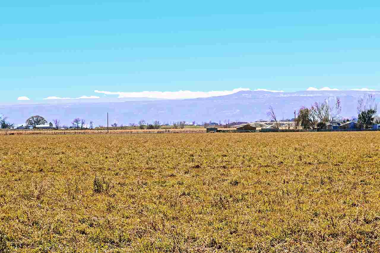 1515 19 Road Fruita, CO 81521 - Photo 4 of 42