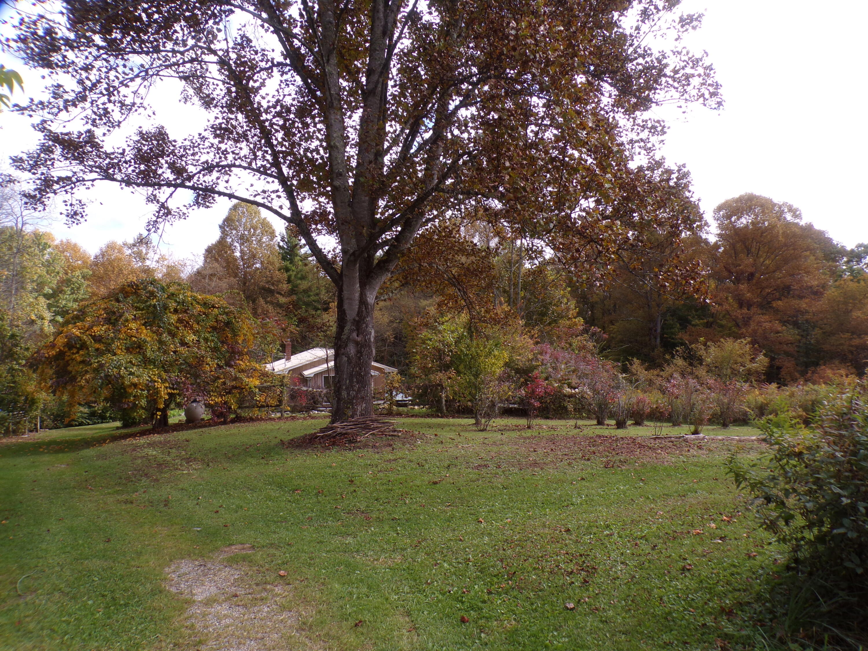 658 Hopper Road Shady Valley, TN 37688 - Photo 14 of 66 103_6389